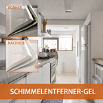 Schimmelentferner | Schnelle Reinigungslösung für Oberflächen | SchimmelStop