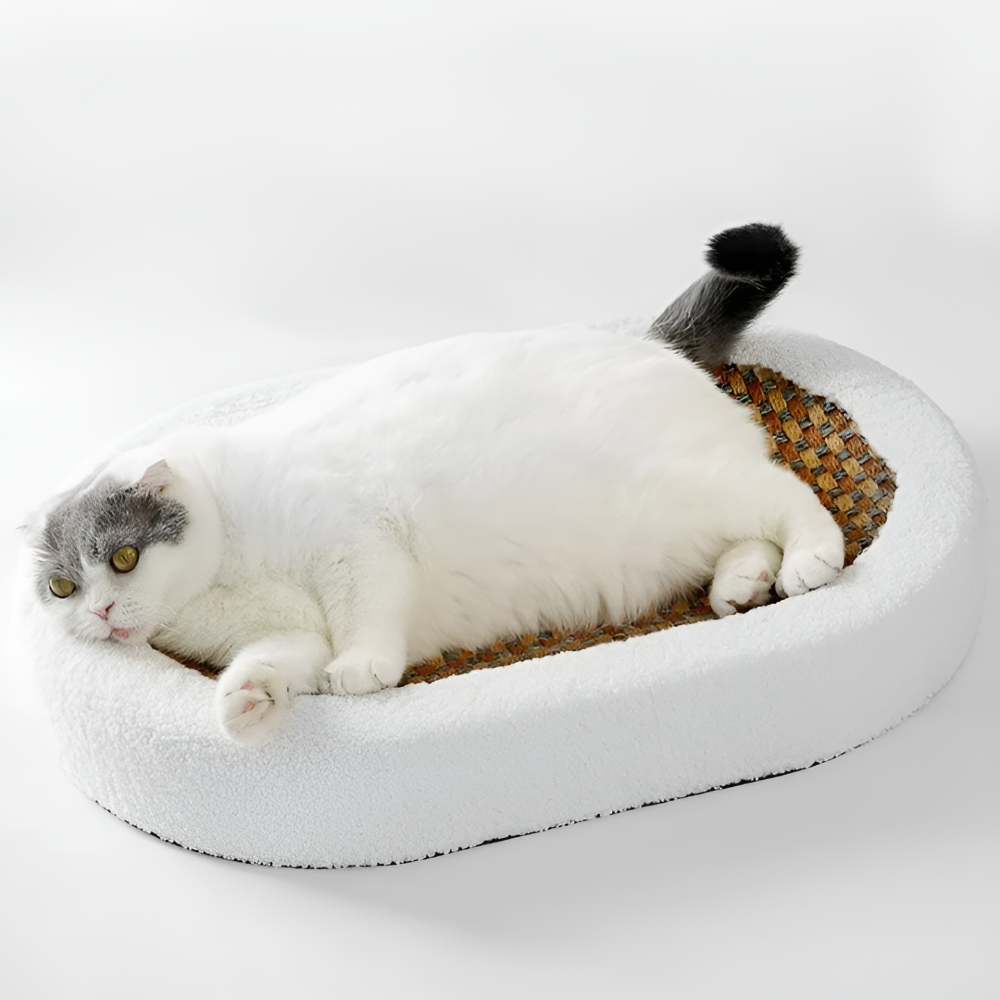 Luxuriöser Katzenbett mit Kratzfläche – Plüsch 2-in-1 Katzenmöbel