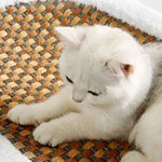 Luxuriöser Katzenbett mit Kratzfläche – Plüsch 2-in-1 Katzenmöbel