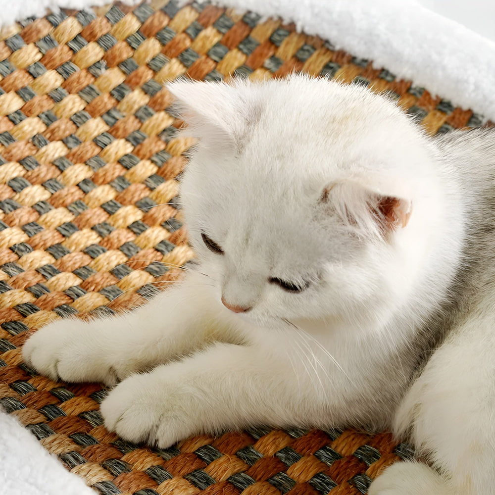 Luxuriöser Katzenbett mit Kratzfläche – Plüsch 2-in-1 Katzenmöbel