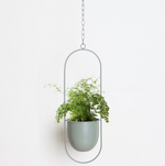 Eleganter Metallpflanzenhalter für Wand oder Decke – FloraFrame