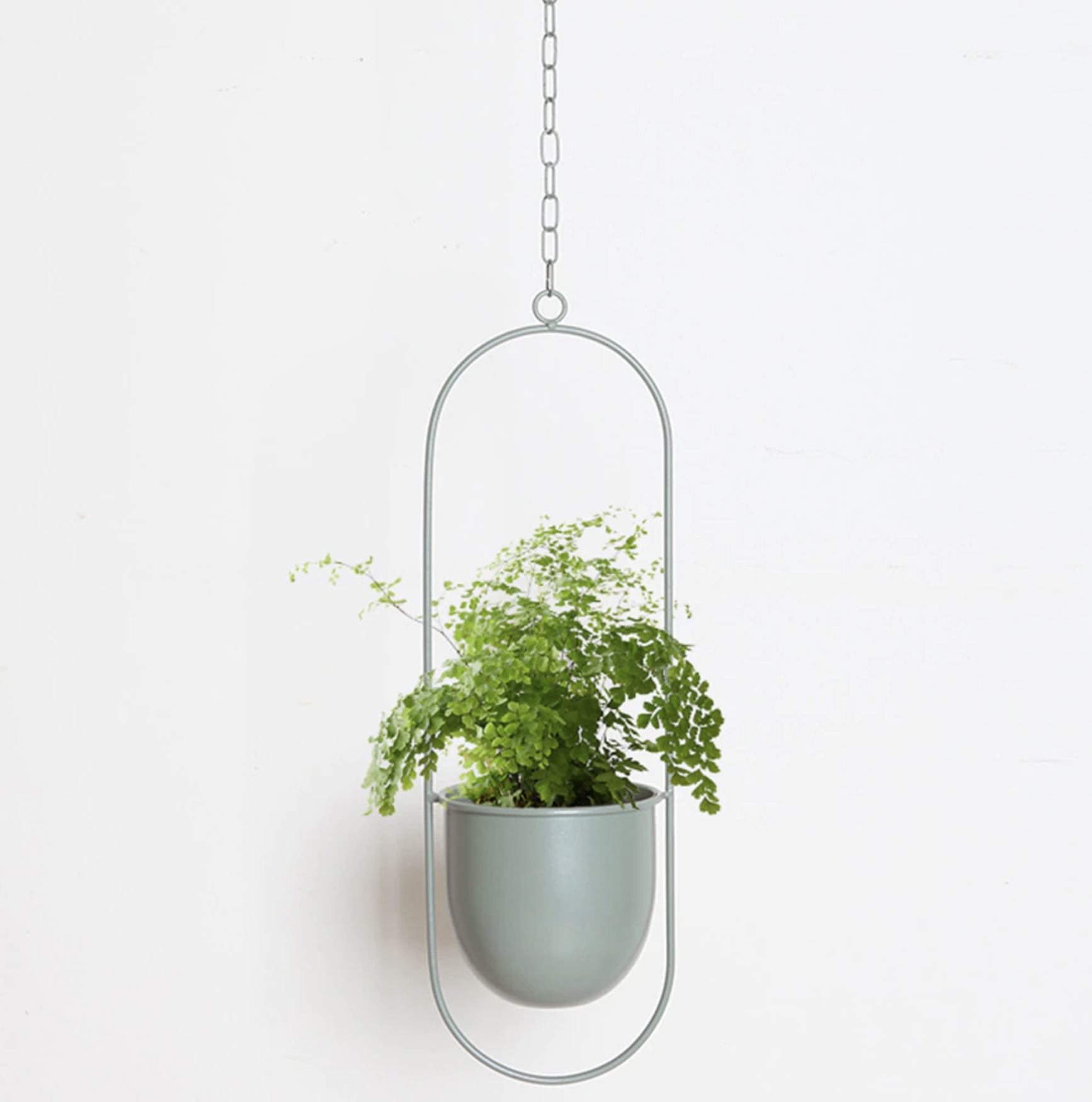 Eleganter Metallpflanzenhalter für Wand oder Decke – FloraFrame