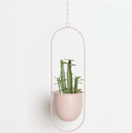 Eleganter Metallpflanzenhalter für Wand oder Decke – FloraFrame