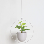 Eleganter Metallpflanzenhalter für Wand oder Decke – FloraFrame