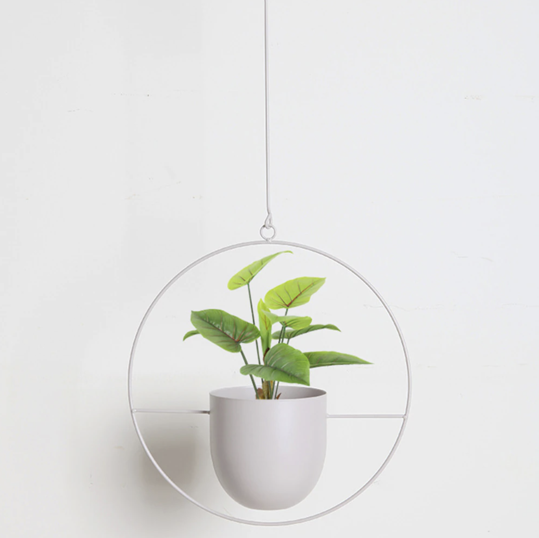 Eleganter Metallpflanzenhalter für Wand oder Decke – FloraFrame
