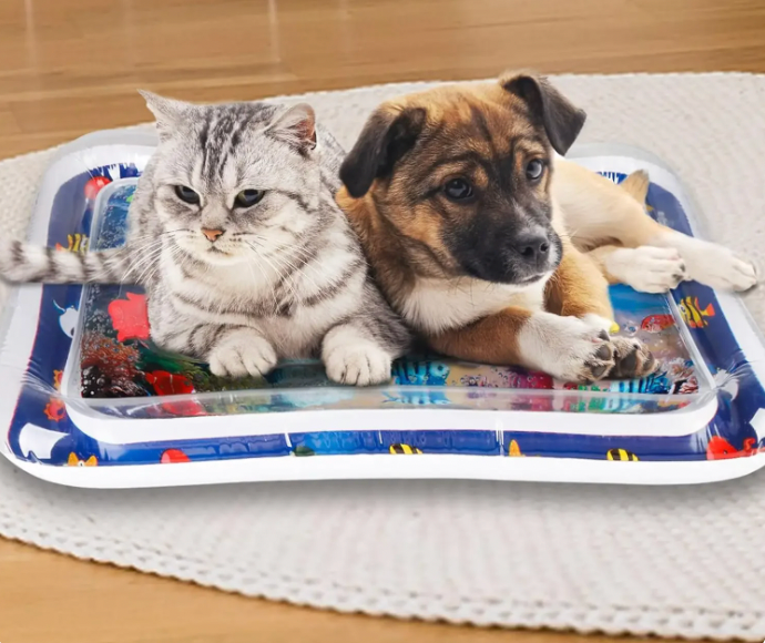 WaterPaws | Play Mat for Stress Reduction and Scratch Prevention