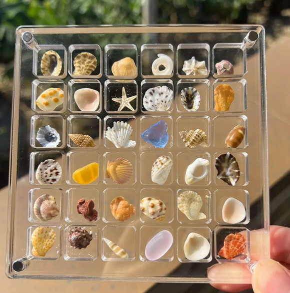 Elegante Acryl-Sammlungsvitrine für Ihre Schätze