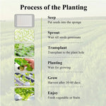 HydroGrow 36 | Innovative Indoor Plant System | With Pump & Timer Control | For Herbs & Vegetables | 36 Planting Pods in White