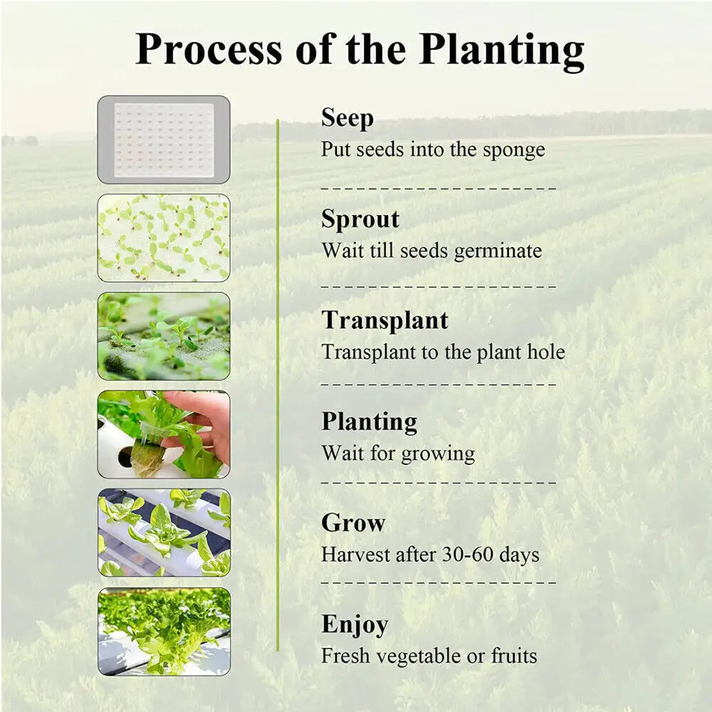 HydroGrow 36 | Innovative Indoor Plant System | With Pump & Timer Control | For Herbs & Vegetables | 36 Planting Pods in White