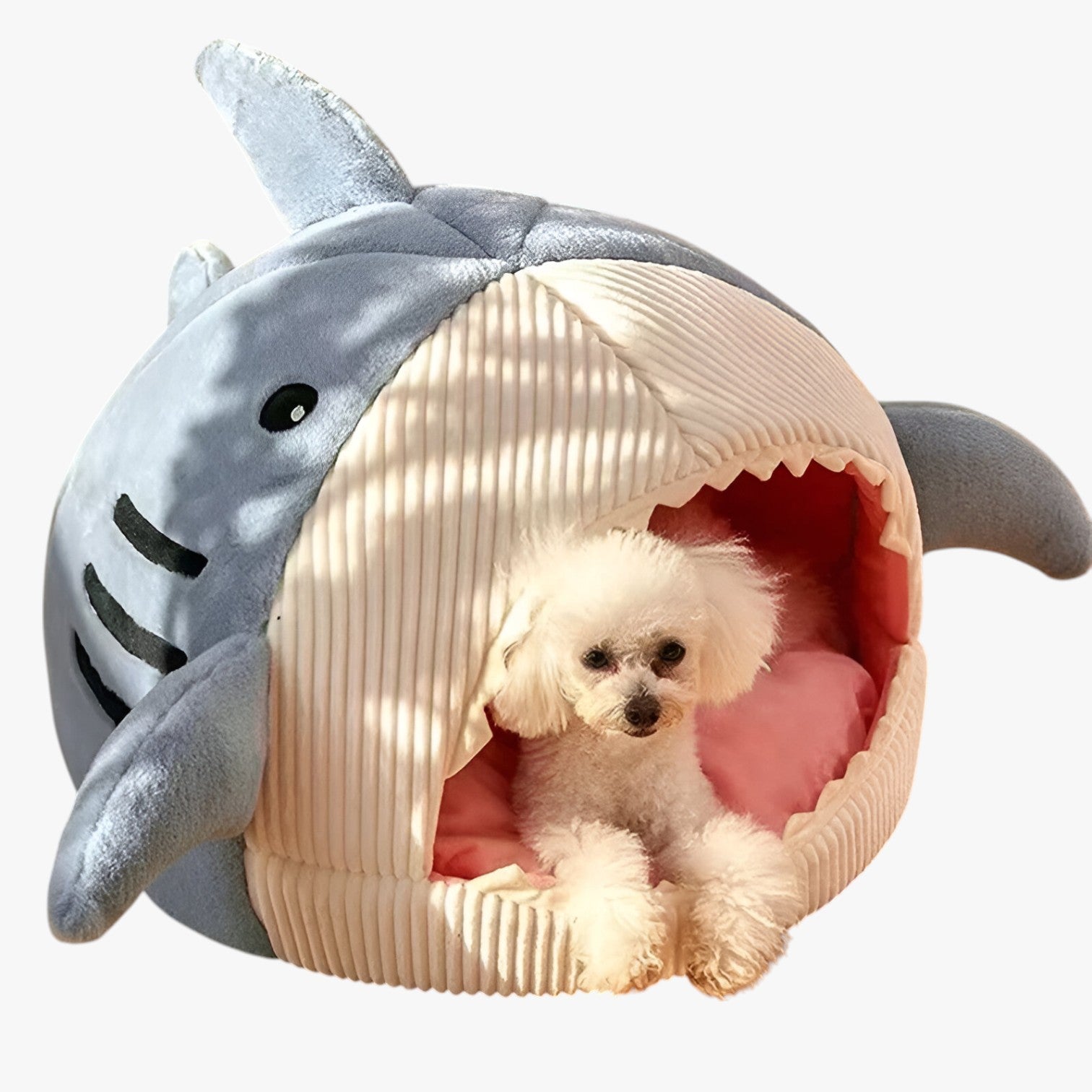 Weicher Shark Katzenbett – Gemütlicher Rückzugsort für drinnen