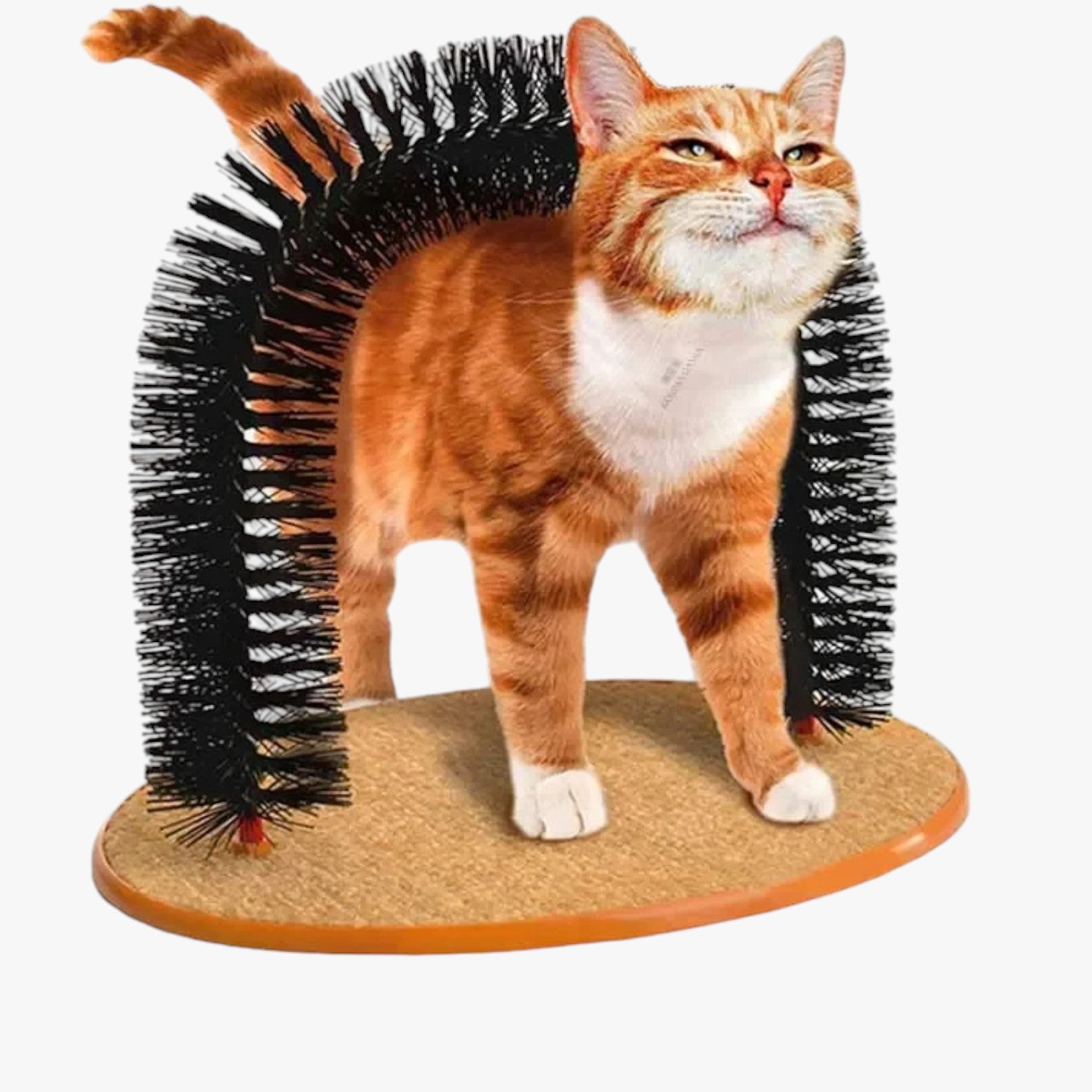 Katzenpflege-Bogen "Spinkrul" mit Kratzmatte und Massagefunktion
