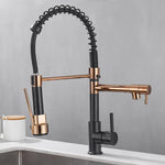 FlexiSpritz – Versatile Kitchen Faucet with Two Outlets