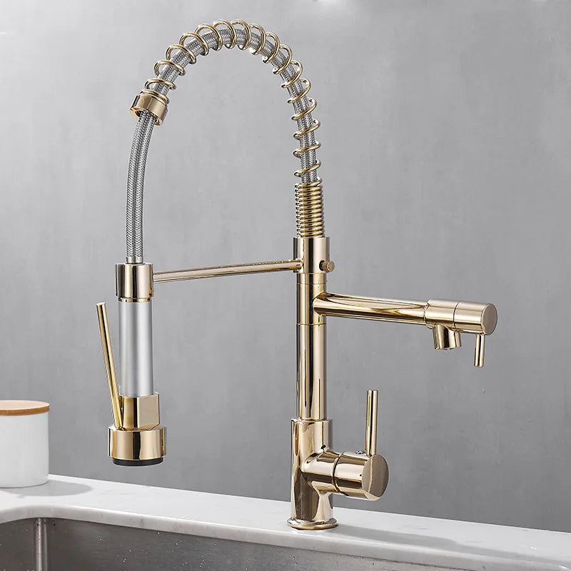 FlexiSpritz – Versatile Kitchen Faucet with Two Outlets