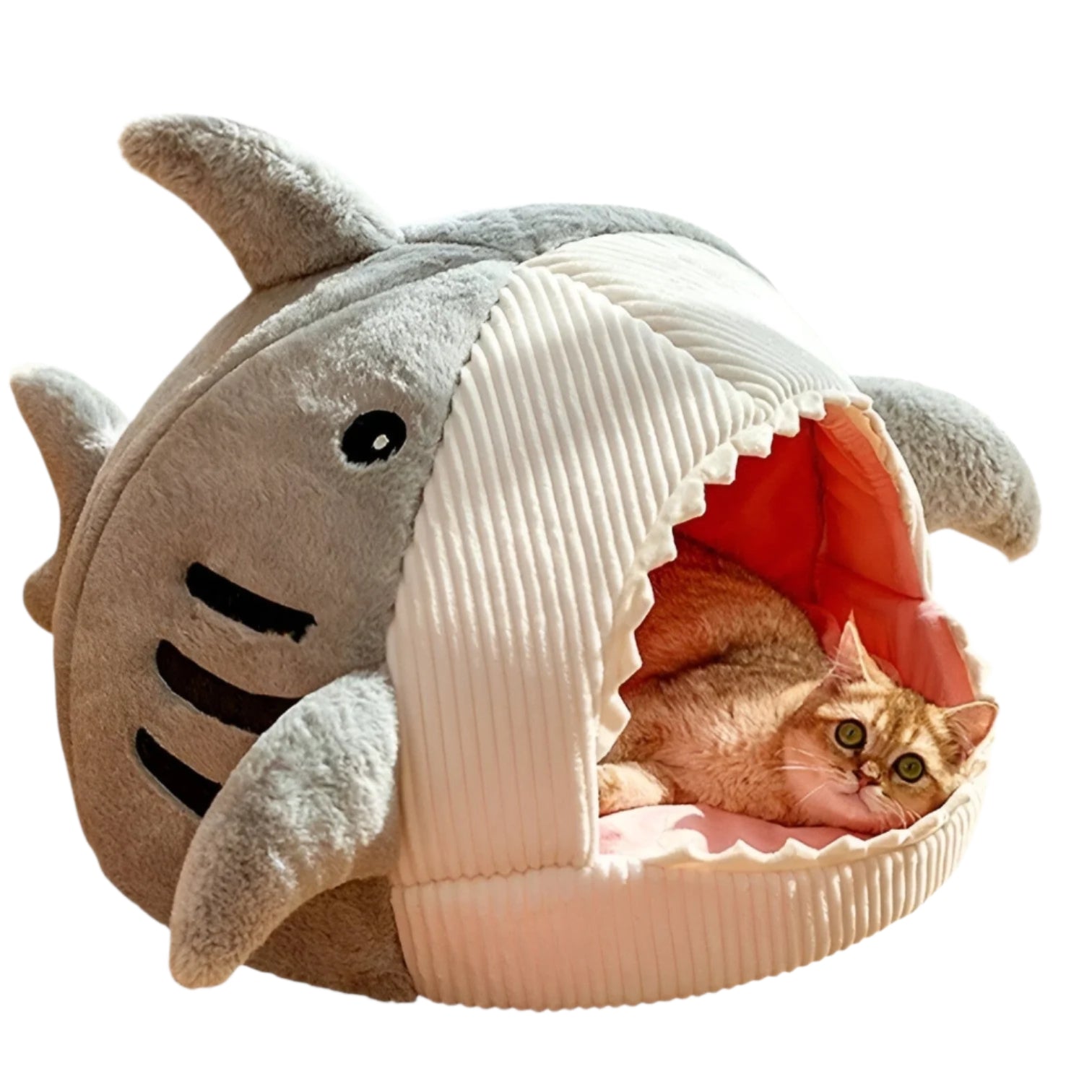 Weicher Shark Katzenbett – Gemütlicher Rückzugsort für drinnen