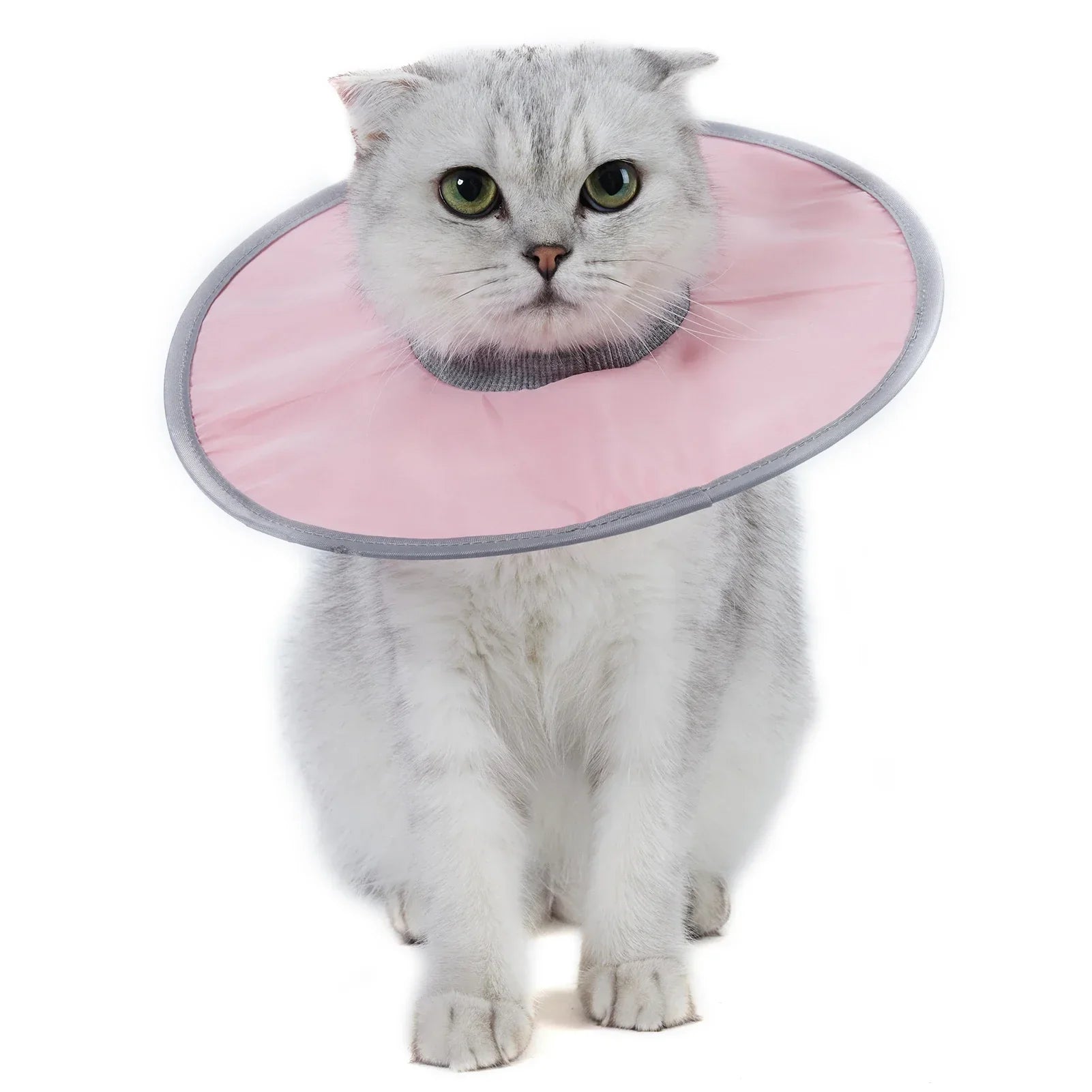 Bequemer und weicher Schutzkragen für Katzen