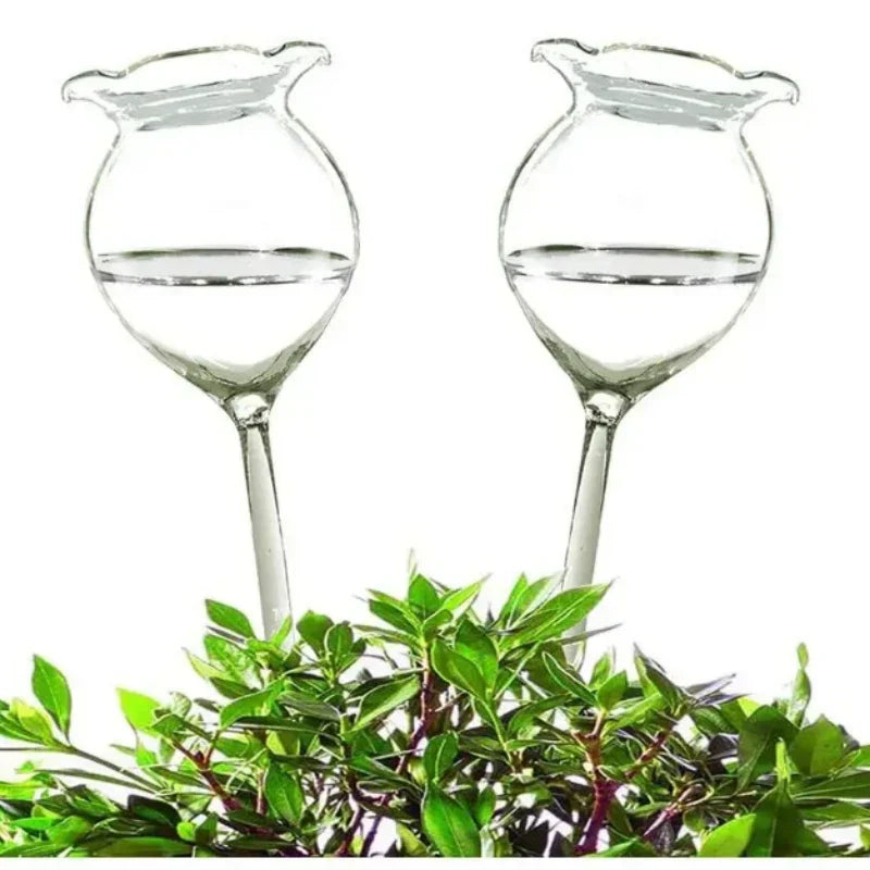 AquaSphere Automatic Plant Watering Globes | Set of 2 Handmade Glass