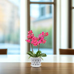 KlarGlanz | Set of 5 Transparent Orchid Pots | Sturdy Construction with Drainage