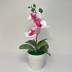 Elegante Künstliche Orchideen-Bonsai für Ihr Zuhause