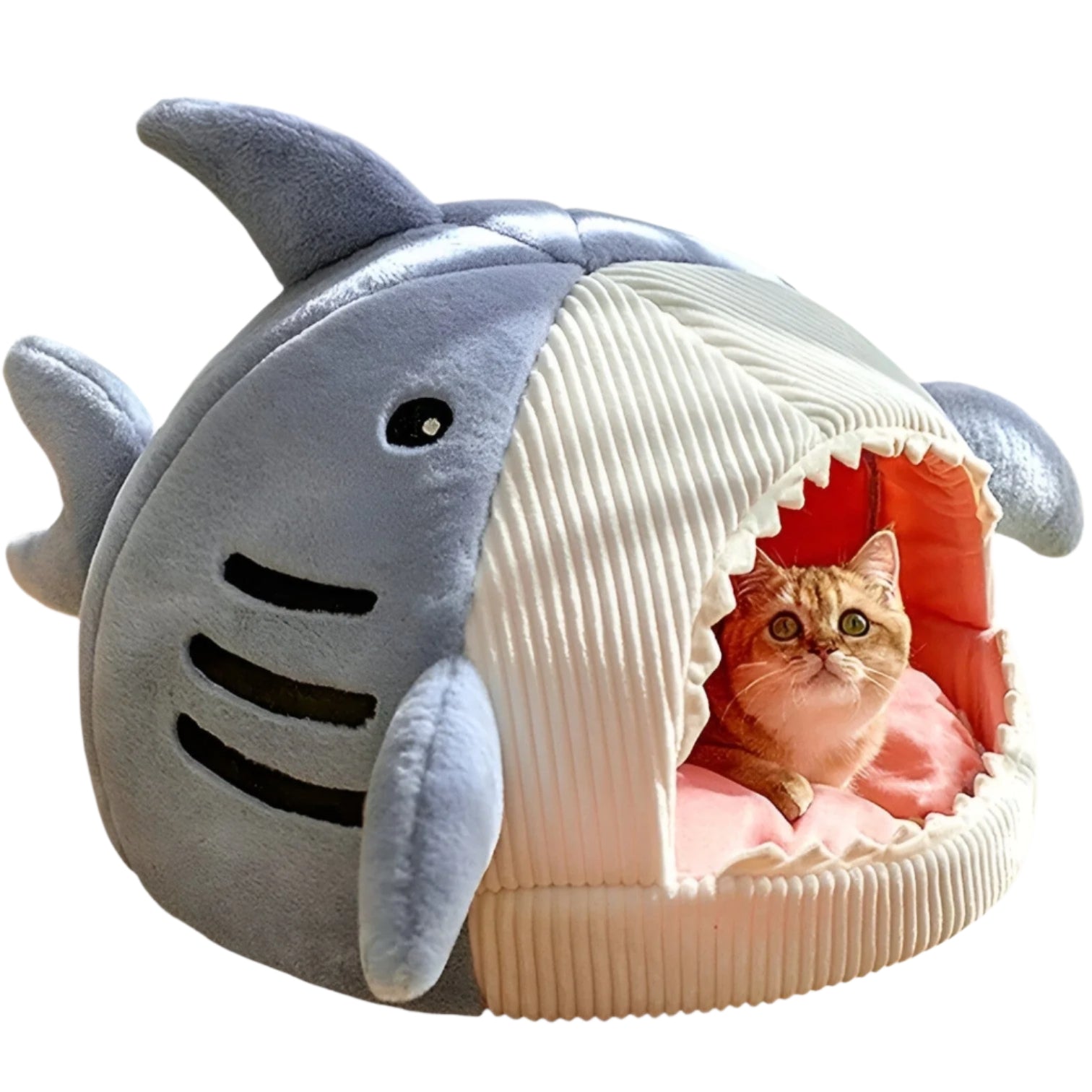 Weicher Shark Katzenbett – Gemütlicher Rückzugsort für drinnen