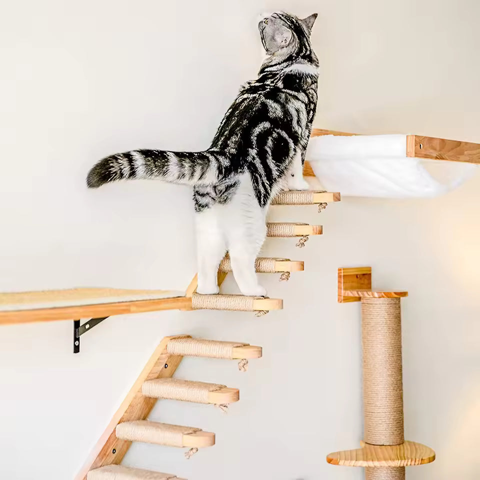 Wandmontierte Katzen-Kletterleiter aus Holz mit Sisal