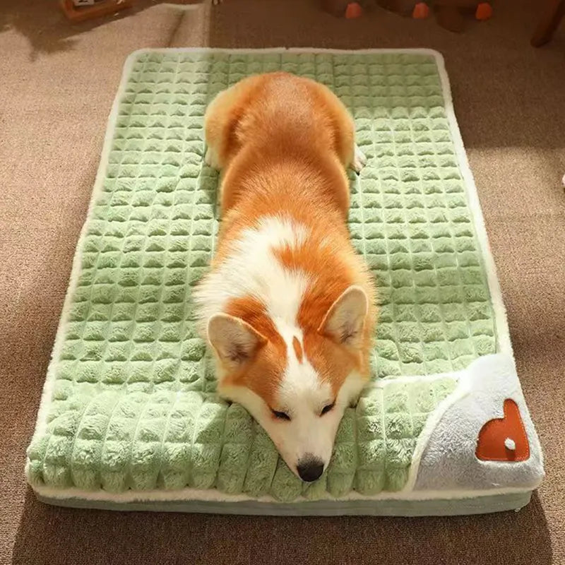 Dog Sleep Paradise | Orthopedic & Velvety Soft