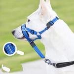 SnoutPro | Calming Your Pet Without the Stress
