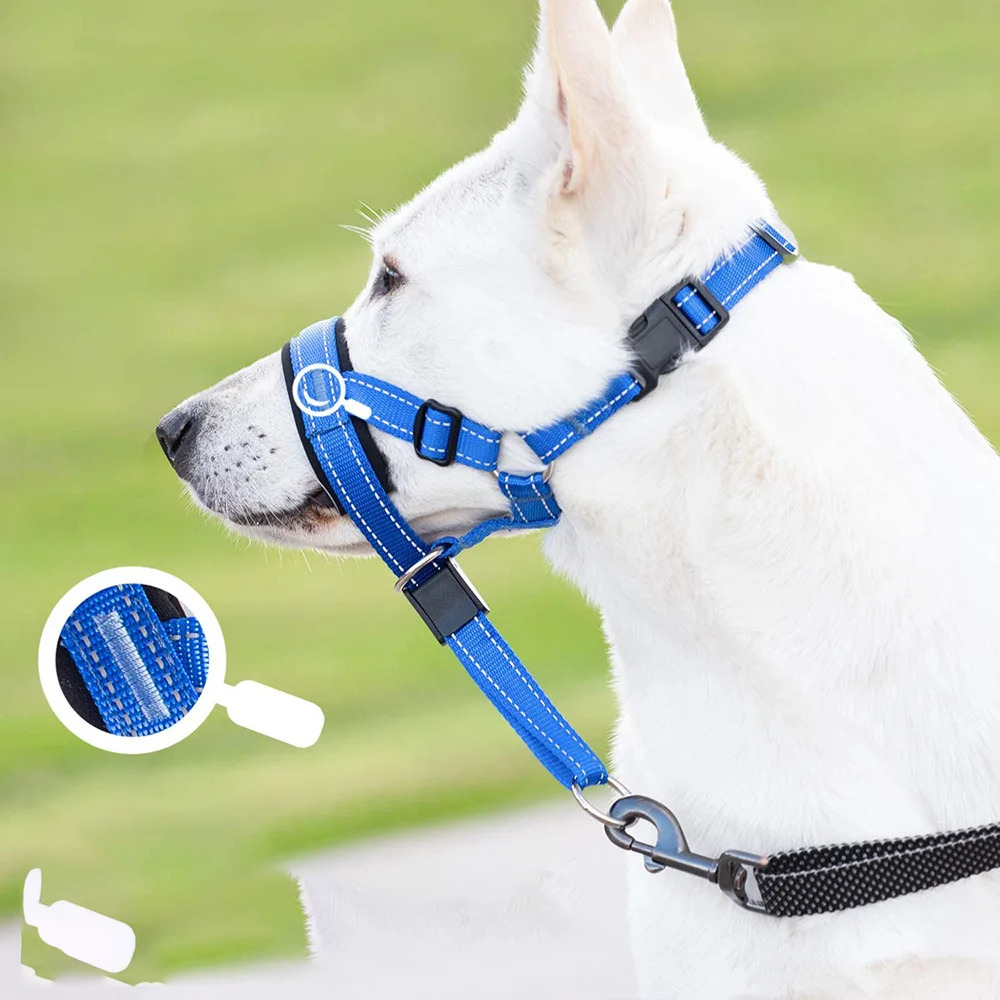 SnoutPro | Calming Your Pet Without the Stress