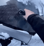 Schneefrei™ – Schnelles Schneeräumen für sorgenfreie Wintertage