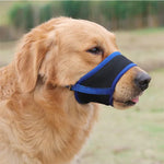 SoftSnout | Stop Barking and Biting with Ease