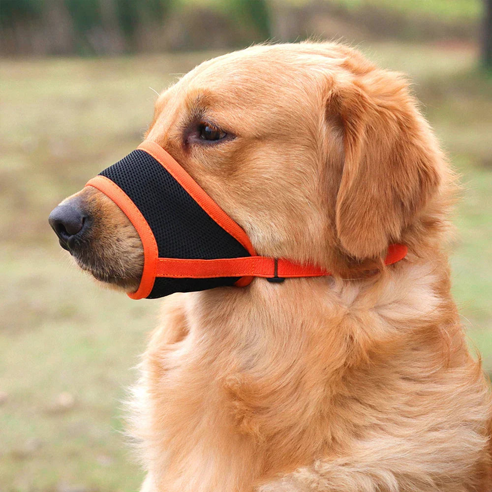 SoftSnout | Stop Barking and Biting with Ease