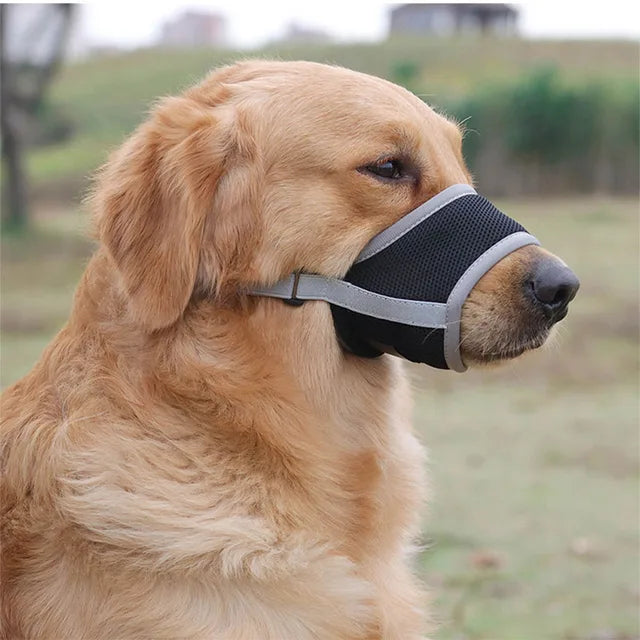 SoftSnout | Stop Barking and Biting with Ease