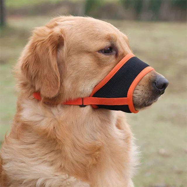 SoftSnout | Stop Barking and Biting with Ease