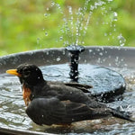 Solar-Powered Water Feature for Garden and Balcony