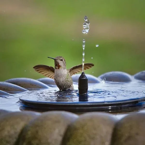 Solar-Powered Water Feature for Garden and Balcony