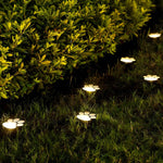 Solarbetriebene LED Gartenleuchten – Wetterfeste Wegbeleuchtung mit Automatischer Sensorsteuerung