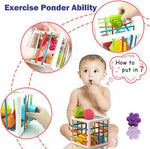 Montessori Sorting Cube - Promotes Recognition and Skills