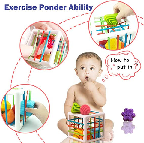 Montessori Sorting Cube - Promotes Recognition and Skills