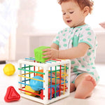 Montessori Sorting Cube - Promotes Recognition and Skills