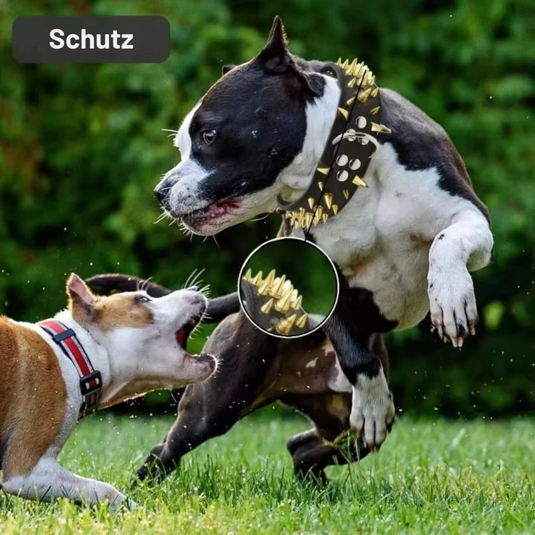 Nietenhalsband für große Hunde