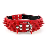 Nietenhalsband für große Hunde