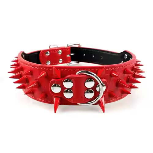 Nietenhalsband für große Hunde
