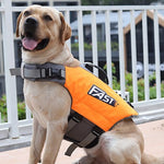 SurfPaws | Safe and Adjustable Dog Life Vest