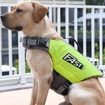 SurfPaws | Safe and Adjustable Dog Life Vest