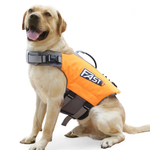 SurfPaws | Safe and Adjustable Dog Life Vest