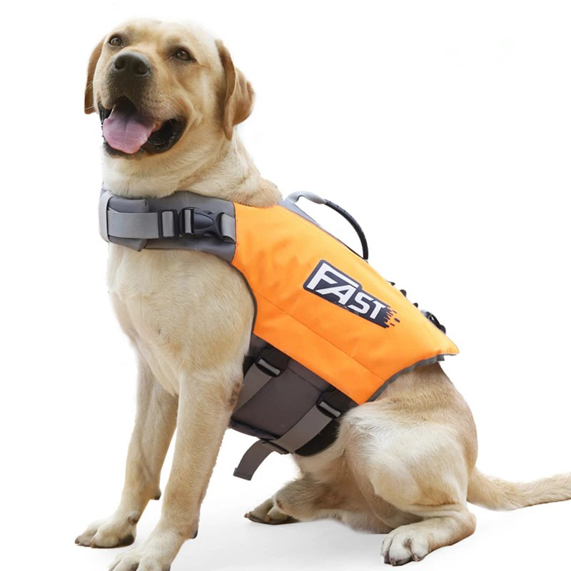 SurfPaws | Safe and Adjustable Dog Life Vest