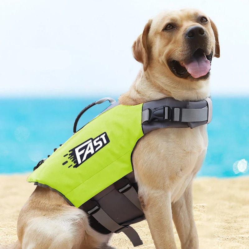 SurfPaws | Safe and Adjustable Dog Life Vest