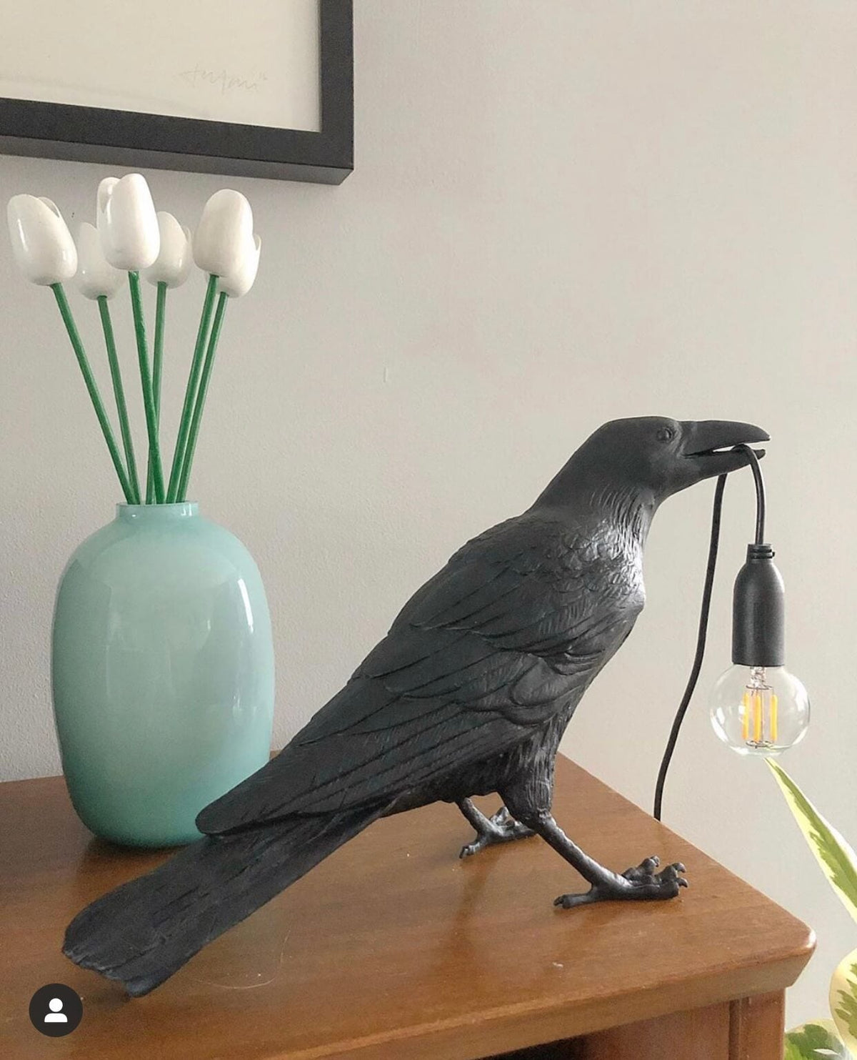 Die elegante Krähenlampe