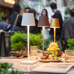 Kabellampe | Elegantes Design | Dimmbares LED-Licht | Luminara