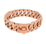 Starker Halsband aus Edelstahl für große Hunde – Metallhalsband