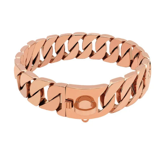 Starker Halsband aus Edelstahl für große Hunde – Metallhalsband